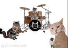 animation dlire: Litter Box