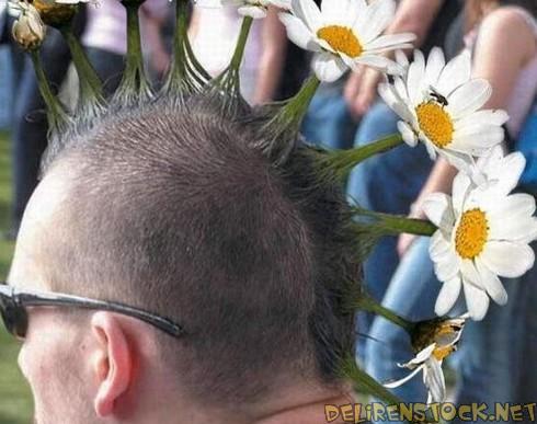 Image dlire : 