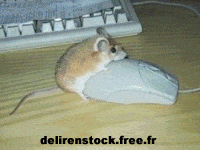 Image alatoire (29  dcouvrir !