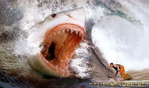 Image dlire : 
