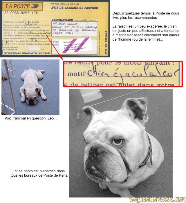 Image dlire : animaux-24