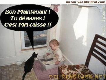 Image dlire : 