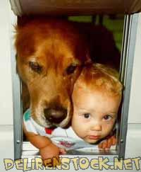 Image dlire : 