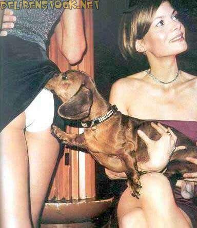 Image dlire : Chien pervers 2