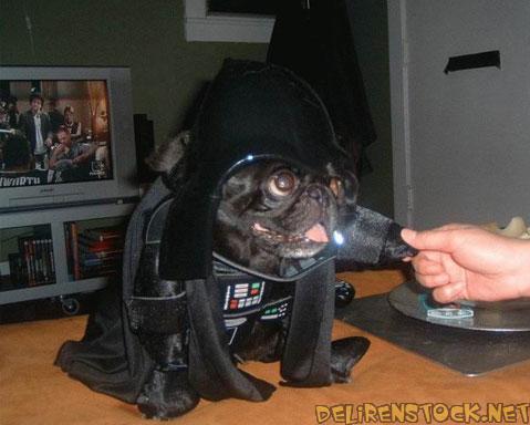 Image dlire : Dog-vador
