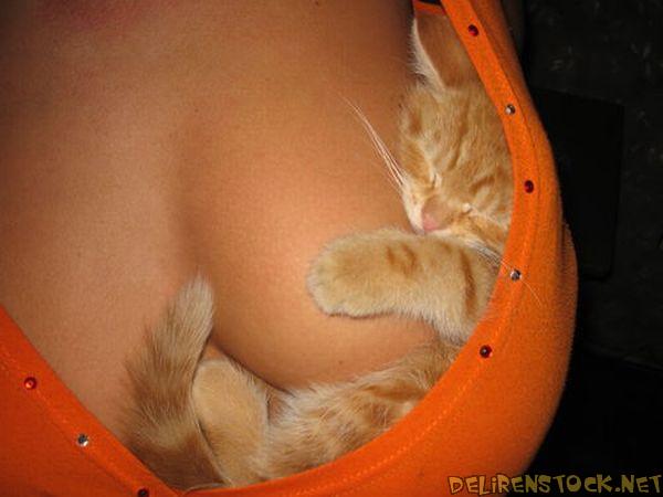 Image dlire : Bien blotti