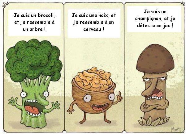 Image dlire : Je suis un champignon