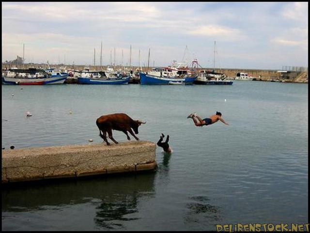 Image dlire : Sauf qui plouf!
