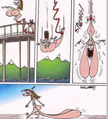 Image dlire : 