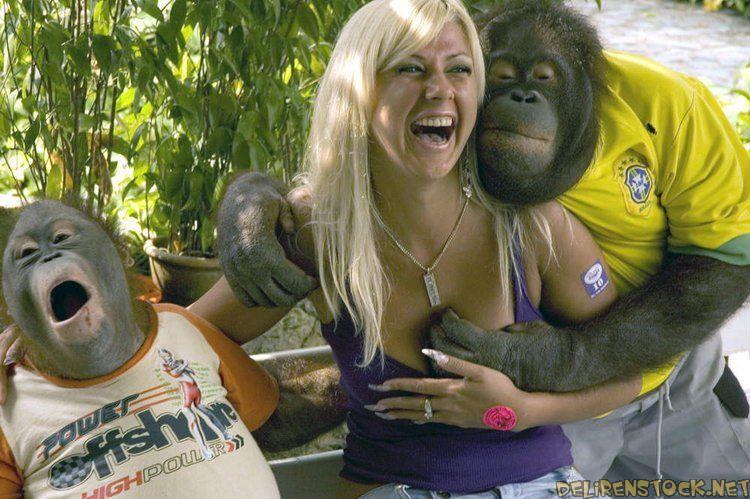 Image dlire : Singe pervers