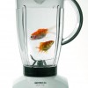 Image delire : poissons rouge