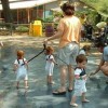 Image delire : Enfants en laisse