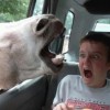 Image delire : aaaAAAAAAHHH !!!