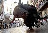 Image delire : animaux-41