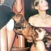 Image delire : Chien pervers 2