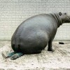 Image delire : hummmmff!
