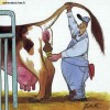 Image delire : 