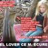 Image delire : 