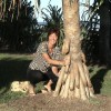 Image delire : arbre phallus