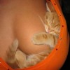 Image delire : Bien blotti
