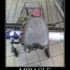 Image delire : Miracle !