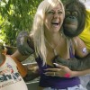 Image delire : Singe pervers