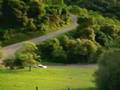 Vido dlire : Ne perdez surtout pas cette voiture de vue!